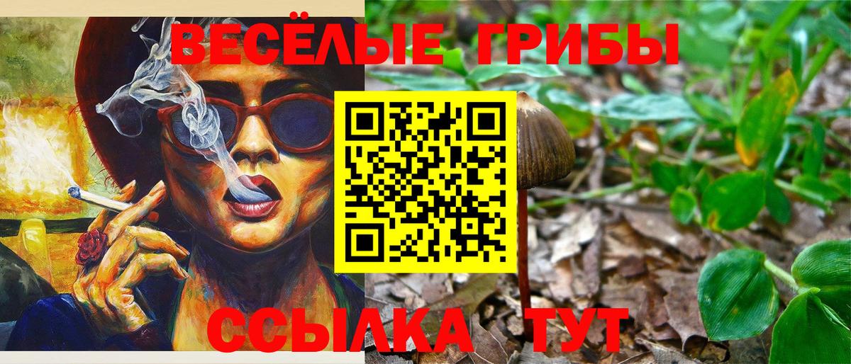 Малоярославец  Галлюциногенные грибы ЛСД  Вход с VPN 